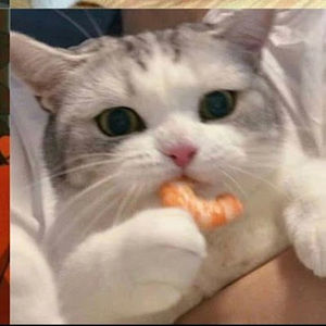 Meet your Posher, Catcake